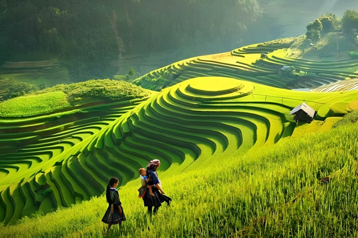 Northern Vietnam Highlights: Hanoi – Sapa – Halong Bay – Ninh Binh 7 days 6 nights